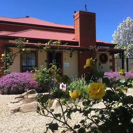 Wine And Roses Bed And Breakfast Mclaren Vale Ngoại thất bức ảnh