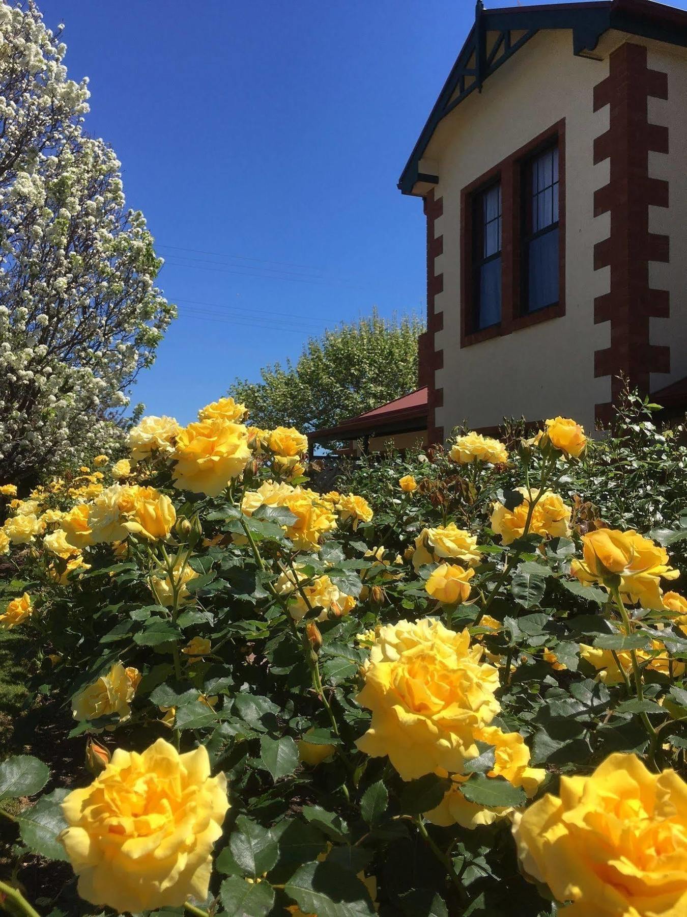 Wine And Roses Bed And Breakfast Mclaren Vale Ngoại thất bức ảnh